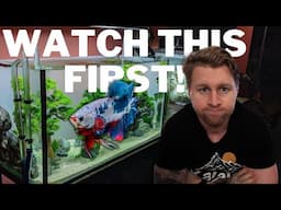 Watch this BEFORE buying a Betta Fish