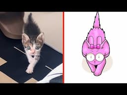 Incredibox Cat Sprunki and Funniest Dogs | Try Not To Laugh With These Funny Animals | Cat Memes