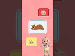 Easy Fun Animal Game for Kids! Guess 🐻🐤🦛 to WIN! #learning #shorts #animals