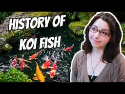 The Evolution of Koi Fish 🐟 History of Koi Fish