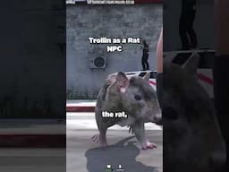 Biting socks as a rat on gta