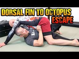 Dorsal Fin To Octopus Escape From Bottom Mount