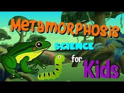 What is Metamorphosis | Science for Kids