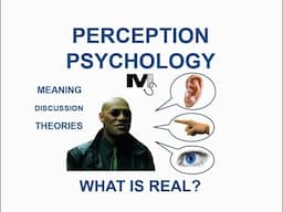 The Psychology of Perception - Simplest Explanation Ever