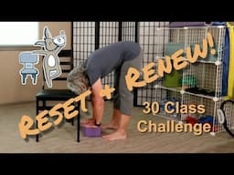 Chair Yoga - Reset and Renew Class 29 - 45  Minutes Some Seated, More Standing