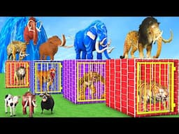 Guess The Right Button Mammoth Elephant Cow Tiger Wolf Lion Gorilla Long Slide Fountain Cross