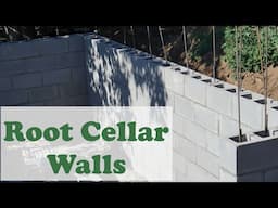 How to Build a Root Cellar Part 3: Walls