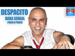 BABA SEHGAL - Hindi DESPACITO - Pinch n Punch