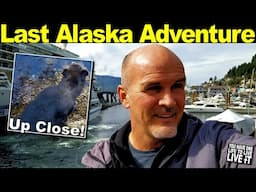 GOODBYE ALASKA! | Bear Sighting | Salmon Spawning Season | Cruise Adventures