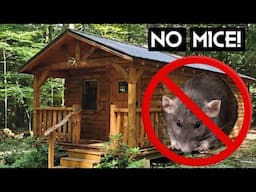 How To Get Rid of House Mice (2 Easy Steps) In Your Off-Grid Cabin, Homestead, or Out Buildings