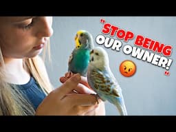 10 Signs your Bird Doesn’t Want you to be it’s Owner Anymore