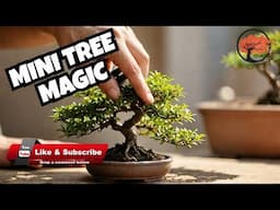 Bonsai Pruning: The Art of Miniature Trees