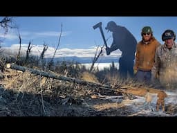 Fallen Snag Wreaks Havoc on Alaskan Homestead || Otto Kilcher