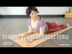 Somatic yoga for the vagus nerve | 30min practice | trauma recovery