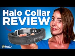 Halo Collar Review: Why Model 3 Has Dog Owners SHOCKED (2025)