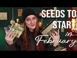 Early Season Sowing 2 Ways! | Winter Sowing in Zone 6