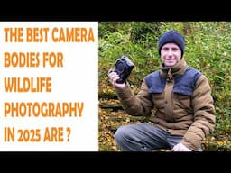 THE BEST CAMERA BODIES FOR WILDLIFE PHOTOGRAPHY IN 2025 ARE-MY THOUGHTS