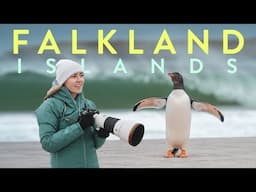 My Trip to the Falkland Islands | The Land of 1 MILLION Penguins