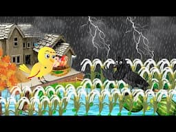 Barish Chidya | चिड़िया | Episode New | Chidiya Wala Cartoon |Tuni AchiAchiHindi Kahani |Chichu TV