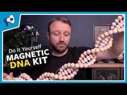 Make Your Own Magnetic DNA Model: Stated Clearly