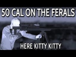 HUNTING WITH A 50 CAL BMG || SHOOTING PIGS & FERAL CATS