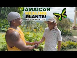 Explore Jamaica's HIDDEN Gems of POWERFUL Plants and Exotic Fruits!