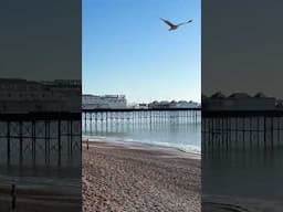 A little beach scene for you this Sunday morning! More on my Vlog at 10.00 a.m Suzi  #brighton