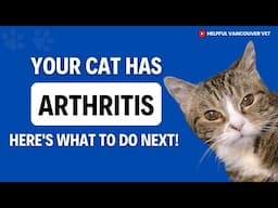 Want to Save Your Cat from ARTHRITIS? Watch This Now