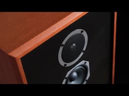 TOP 3 AUDIOPHILE PRODUCTS!  My Favorite Speakers & Amps that I Reviewed (2021)