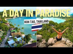 Day in the life in tropical paradise 🌴 (spending a month on Koh Tao, Thailand)