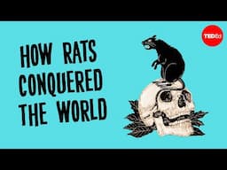 The history of the world according to rats - Max G. Levy