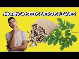 The Ultimate Showdown: Moringa Seeds or Leaves for Better Health? / Earth's Medicine