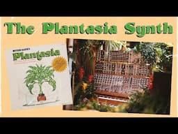 The "Plantasia Moog" Modular Synth - An Untold Story