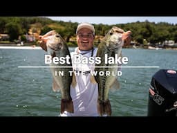 I Hired a Guide on the Best Bass Lake in the World!