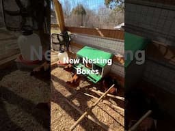 Adding more nesting boxes for the chickens.  #chicken #chickencoop #howtowithdoc #backyardchickens