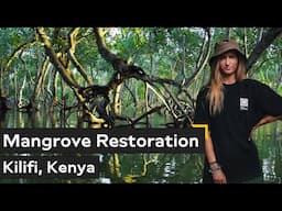 Reforesting Coastlines: Mangrove Conservation & Community Action