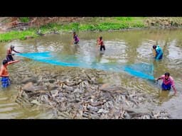 World Biggest Fishing Net | 6000 ரூபாய் ஆ இந்த வலை😲| Village Super Cooking