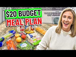 ✨NEW✨ $20 Budget Meal Plan in 2024!