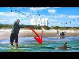 THIS is why you use NATURAL baits surf fishing