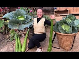 Harvest gourds and vegetables to sell at the market, and take care of chickens