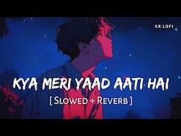 Kya Meri Yaad Aati Hai (Slowed + Reverb) | Vishal Mishra, Tanishk Bagchi | Sky Force | SR Lofi