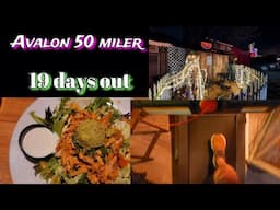 Run, Dinner, Christmas| 19 days out from the Avalon 50 miler