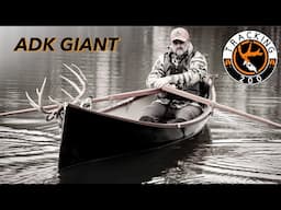 Grunting in a Giant Buck in the Rut!  An ADK Tracking 200 Film by Jon Hill #onxhunt