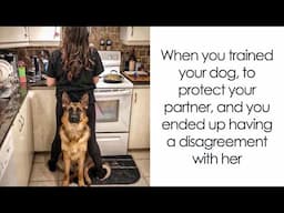 Hilarious Dog Memes for Every Dog Owner