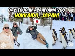 Asahiyama Zoo Day Tour! The famous Penguin Walk + Shirogane Blue Pond! 🇯🇵❄️🌨️