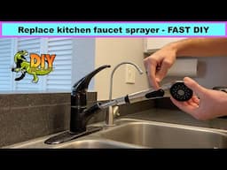 Replace kitchen faucet pull out sprayer