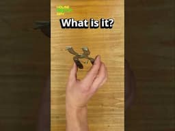 What is it 0005 #tool #mechanic #woodworking #quiz