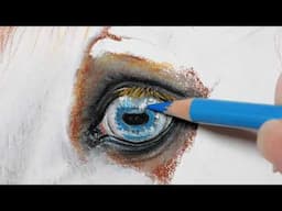 Horse Eye Demo In Near Real Time Speed