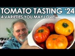 Tomato Tasting '24  - Four Varieties You Might LOVE! || Black Gumbo