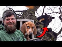 Puppy’s EPIC First Chase: Hunting Black Bears in Appalachia!